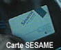 sesame